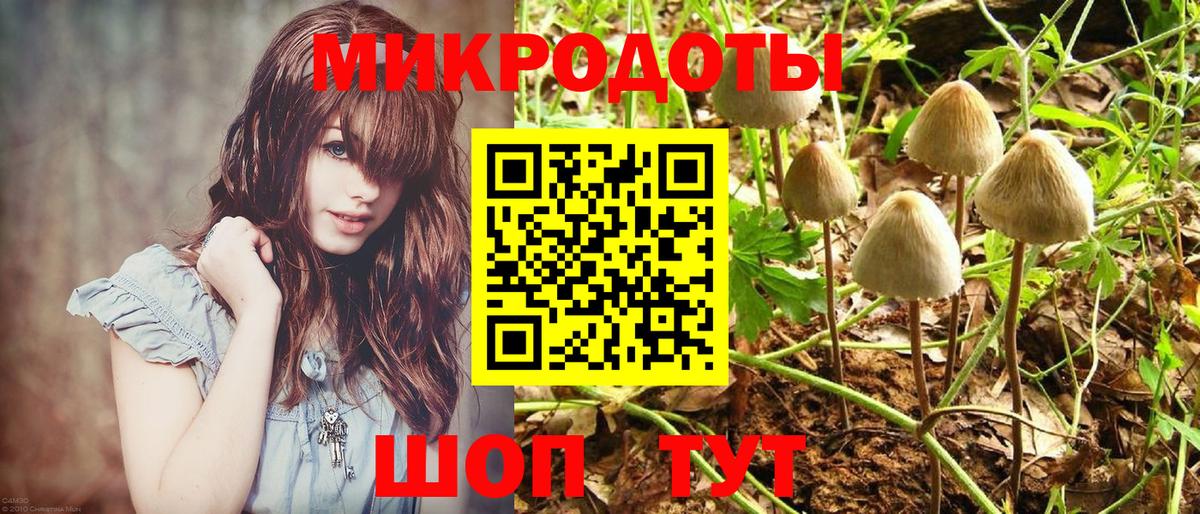 Галлюциногенные грибы прущие грибы  Вход с VPN  Ипатово  Галлюциногенные грибы ЛСД 