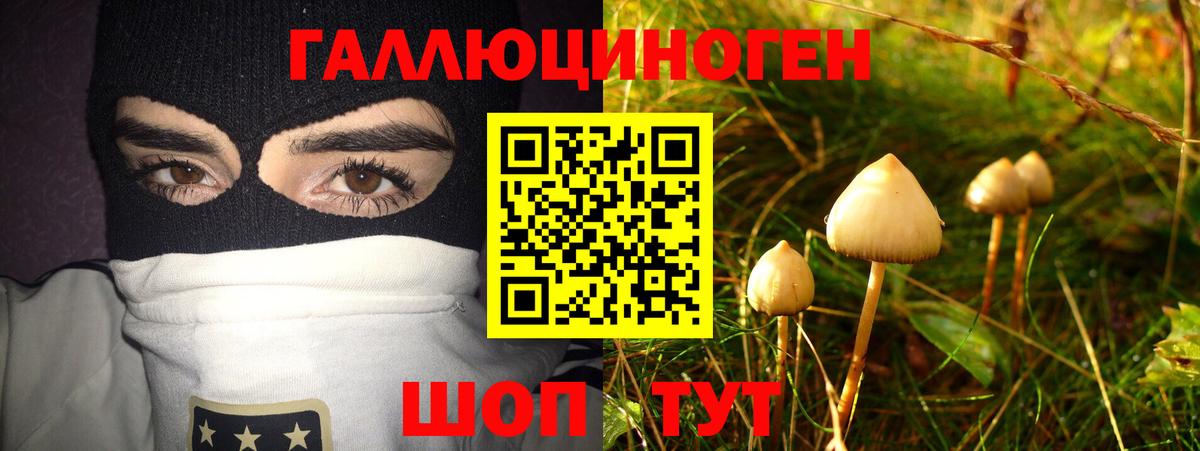 Галлюциногенные грибы GOLDEN TEACHER Ипатово